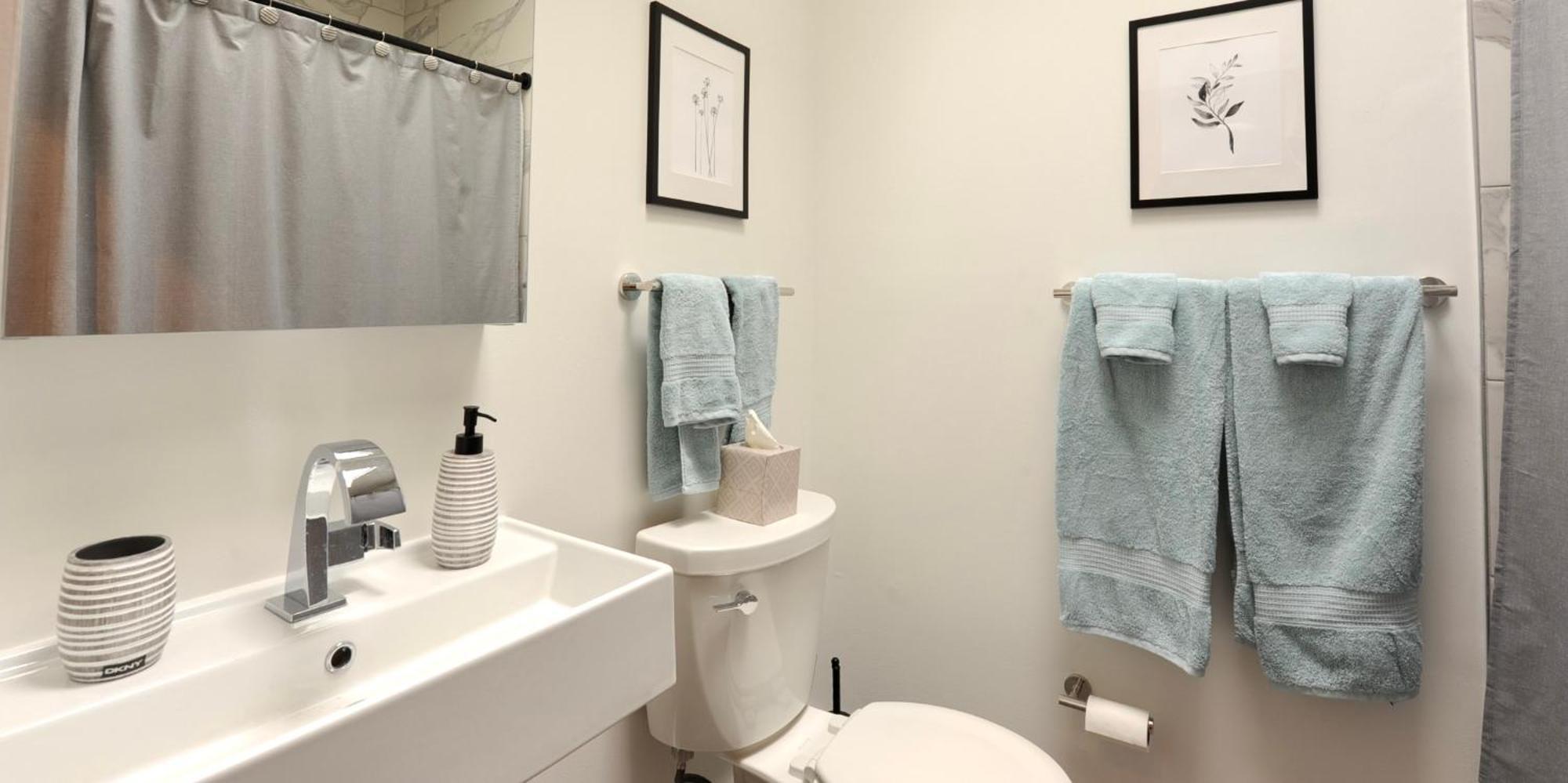 Cherry Blossom Townhouse, Easy Dc Access 워싱턴 외부 사진